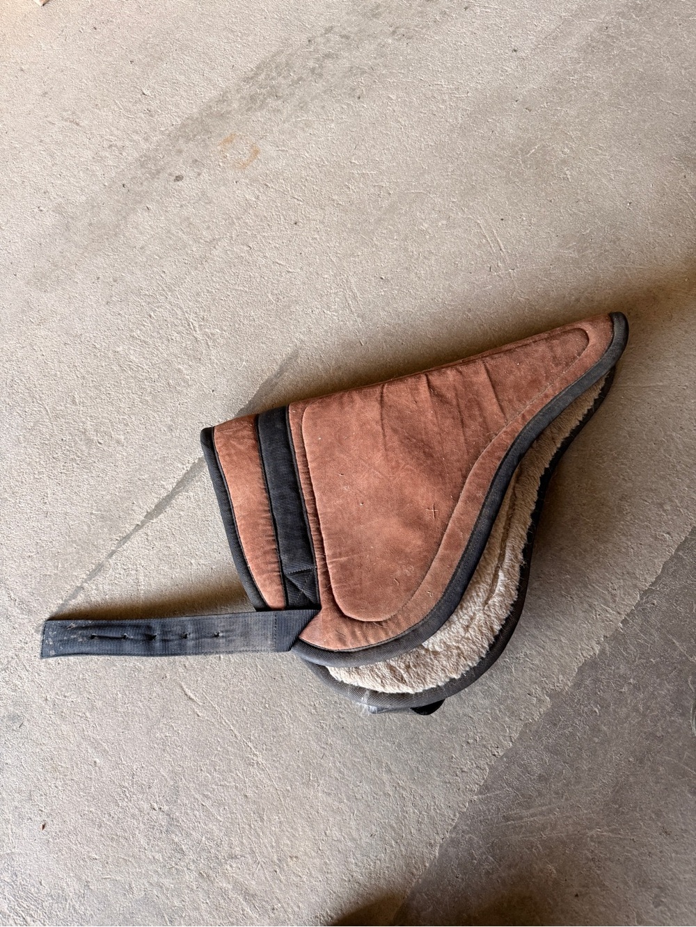 Bareback Pad Horse Size